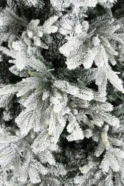 Online Bizzotto ALBER BERKSHIRE INN H210-4943R 1900L