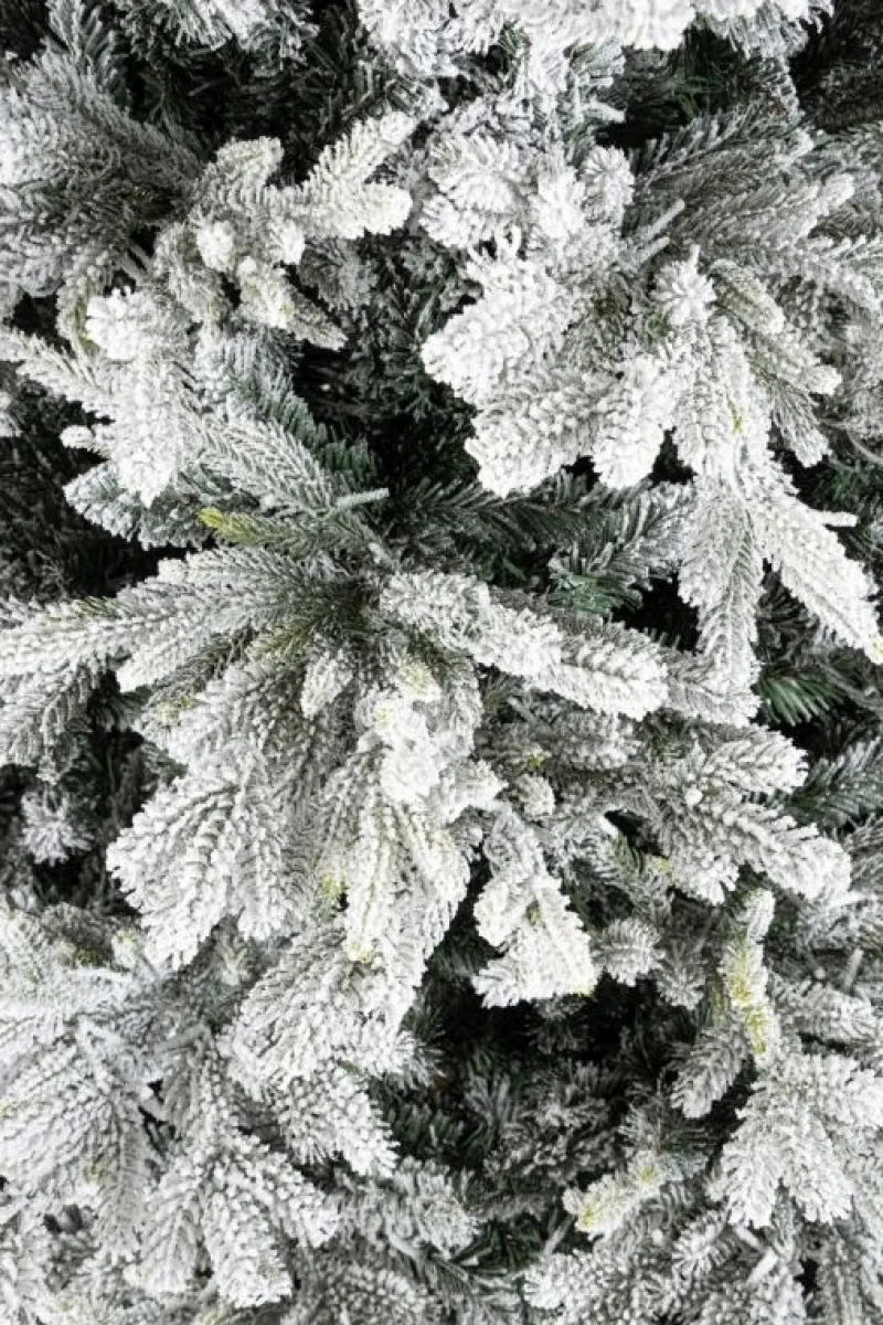 Online Bizzotto ALBER BERKSHIRE INN H210-4943R 1900L