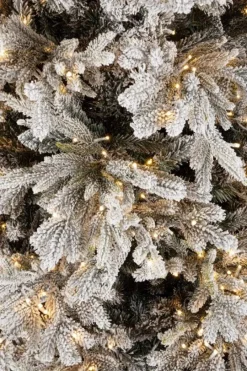 Online Bizzotto ALBER BERKSHIRE INN H210-4943R 1900L