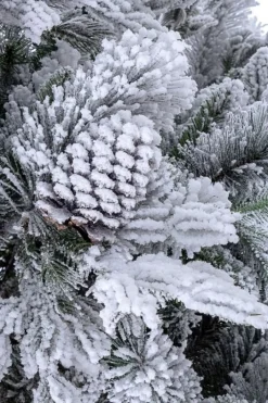 Best Bizzotto ALBERO ARVES INNEVATO H210-1936RAMI