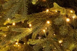 Online Bizzotto ALBERO BERKSHIRE H210-5436RAMI 1900LED