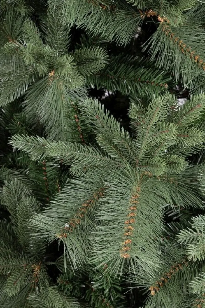 Best Bizzotto ALBERO HUBBARD H240-3096RAMI