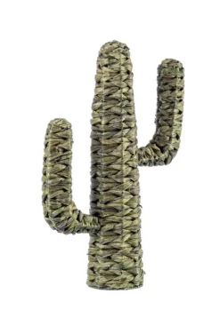 Online Bizzotto CACTUS SAGUARO VERDE H59