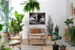 Outlet Bizzotto DIVANO IN FIBRE NATURALI CON CUSCINI - TARIFA