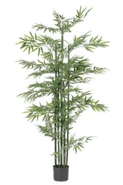 New Bizzotto PIANTA BAMBOO C-VASO H190
