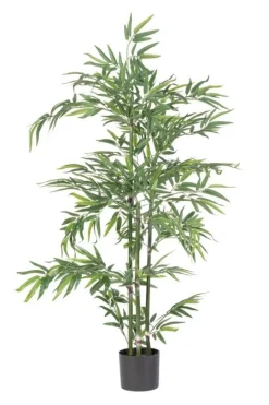 Hot Bizzotto PIANTA BAMBOO C-VASO H130