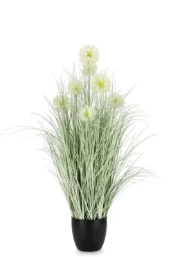 Online Bizzotto PIANTA CEBOLLA BIANCO C-VASO X7F H105