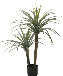 Discount Bizzotto PIANTA DRACAENA C-VASO H110