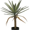 Sale Bizzotto PIANTA DRACAENA C-VASO H62