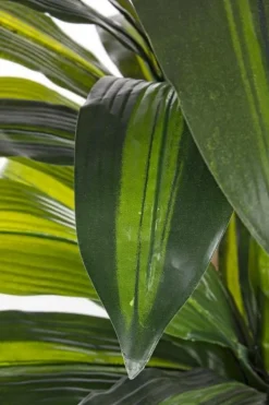 New Bizzotto PIANTA DRACANEA C-VASO 43FOGLIE H88CM