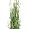 Discount Bizzotto PIANTA ERIOPHORUM BIANC C-VASO X10F H110