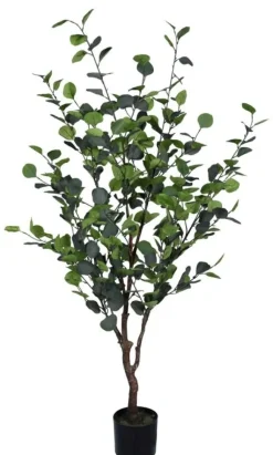 Bizzotto PIANTA EUCALIPTO C-VASO H150