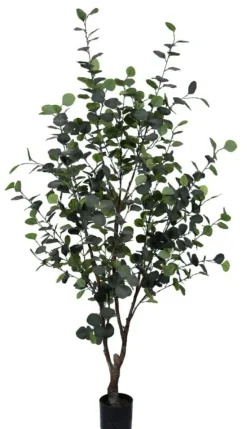 Online Bizzotto PIANTA EUCALIPTO C-VASO H180