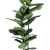 Online Bizzotto PIANTA FICUS LYRATA C-VASO 39FOGLIE H145