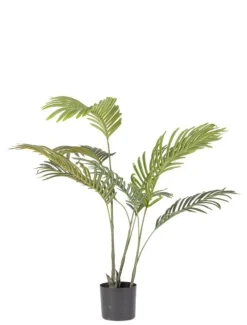 Sale Bizzotto PIANTA KENZIA C-VASO 9FOGLIE H80