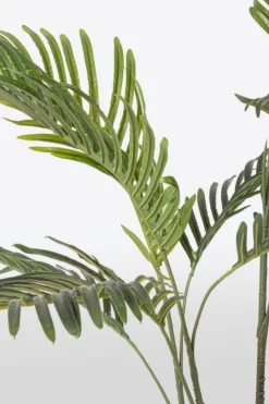 Sale Bizzotto PIANTA KENZIA C-VASO 9FOGLIE H80