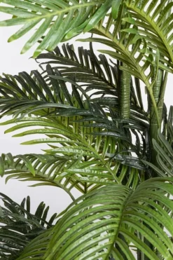 Sale Bizzotto PIANTA KENZIA C-VASO 33FOGLIE H210