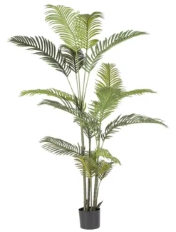 Sale Bizzotto PIANTA KENZIA C-VASO 18FOGLIE H180