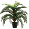 Bizzotto PIANTA PALMA CYCAS C-VASO 30FOGLIE H100