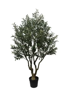 Sale Bizzotto PIANTA ULIVO C-VASO H210