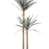 Best Bizzotto PIANTA YUCCA C-VASO 68FOGLIE H128