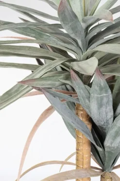 Discount Bizzotto PIANTA YUCCA C-VASO 120FOGLIE H152