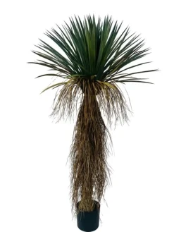 Discount Bizzotto PIANTA YUKKA ROSTATA C-VASO H150
