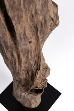 Bizzotto PIANTANA KLETA NERO H180