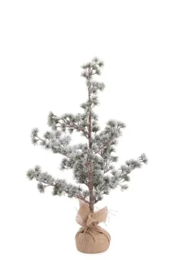 Hot Bizzotto PINO SNEFFELS GHIACCIATO H75