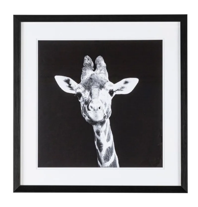 Outlet Bizzotto QUADRO C-C EVIDENCE 107 49X49