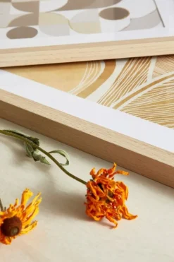 Outlet Bizzotto SET2 QUADRO C-C SHERLEY 631 40X60