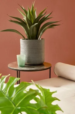 Online Bizzotto SET4 VASO TRESSAGE CIL ANTRACITE